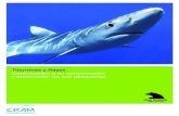 Informe Tiburones y Rayas Madrid cram