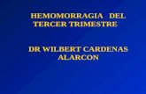 2. HEMORRAGIA  METRORRAGIA DEL TERCER TRIMESTRE.ppt