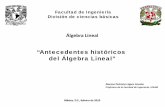 Antecedentes historicos del algebra lineal.pdf