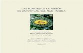 Libro Plantas de Puebla