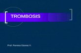 Trombosis I