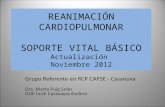 Presentación RCP soporte vital básico