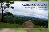 agroecología altieri.pdf