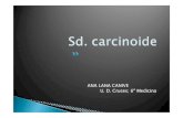 SD. Carcinoide