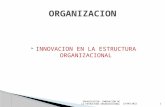 INNOVACION EN LA ESTRUCTURA ORGANIZACIONAL9.pptx