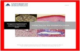 Guía Práctica Embriología OyP UNICIT