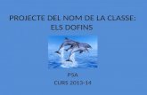 PROJECTE dofins P5A