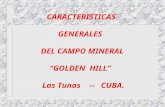 CARACTERISTICAS GENERALES  DEL CAMPO MINERAL “GOLDEN  HILL”