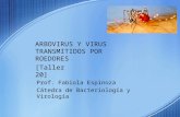 Arbovirus y Virus Transmitidos Por Roedores