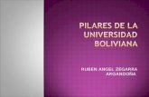 Pilares de La Universidad