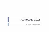 Autocad 2013 b Sico