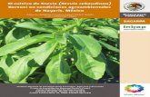 02_El cultivo de Stevia  de Nayarit, México
