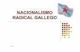 Nacionalismo Gallego y Terrorismo
