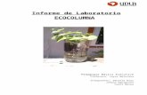 Pauta Informe de Ecocolumna EDU705 (2)