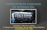Combustibles Gaseosos - Antonio Camacho Navas