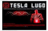 Tesla Lugo_ Soldadora Por Puntos