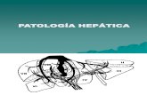 12. Patologia Hepatobiliar y Pancreatica