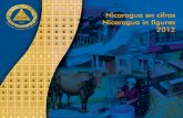 BCN Nicaragua en Cifras 2012