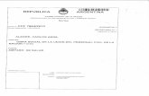 Carlos Ariel Alegre Interpuso Acción de Amparo por Violación a los Derechos Humanos en Argentina. Expte N° CCF 7864-2013..pdf