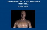 Introducion Medicina Oriental