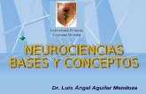 1 Neurociencia 2013 Bases y Conceptos