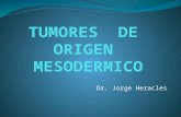 Tumores de Origen Mesodermico