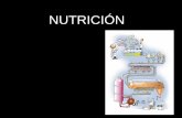 1 a -Nutricion Imc