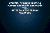 Reyes Saucedo Brayan Alejandro