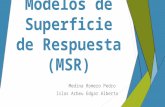 Modelos de Superficie de Respuesta Expo