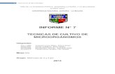 Tecnica de cultivo de microorganismos_7.pdf