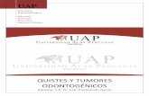 68578562 Informe 3 Quistes y Tumores Odontogenicos