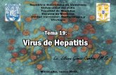 78803052 TEMA 19 Virus de Hepatitis