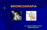 Semiologia Bronquial - Broncografia