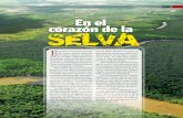 173064703 en El Corazon de La Selva(1)