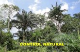 5 - Control Natural