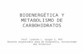 Bioenergetica y Metabolismo de Carbohidratos (1)