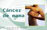 Cancer Mama BER