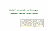 Guía de prevención RRLL Trabajador Forestal
