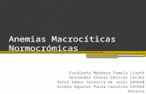 Anemias Macrocíticas Normocrómicas