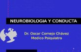 03 Neurobiologia y Conducta