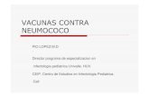 Vacunas Contra Neumococo ANIR 2013