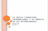 02 La Crisis Financiera Internacional y Su Impacto en Las Microfinanzas