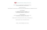 Monografia Sistemas Transaccionales en Empresas Comerciales