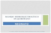 Manejo Hidroelectrolitico en Quirofano - REDVENEO