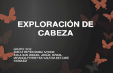 Exploracion Cabeza