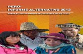 Informe Alternativo 2013 Vf