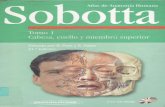 Anatomía - Sobota (tomo 1)