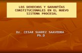 6 Derechos y Garantias Constitucionales Dr. Cesar Suarez