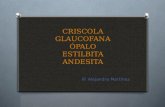 Mineralogía Criscola, Glaucofana, Ópalo, Estilbita y Andesita