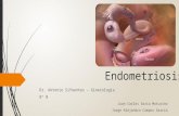 Endometriosis Terminado